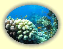 IMG_2007_05_27 18_30_30 * 2272 x 1704 * (543KB)